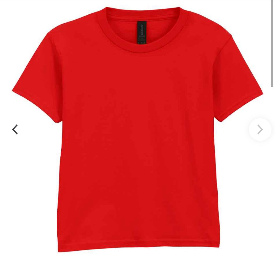 Baglan Primary School T-Shirt – Multiple Colours Available